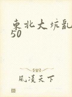 东北大坑乱1—50