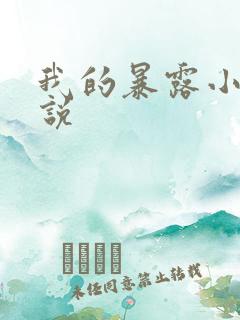 我的暴露小说小说