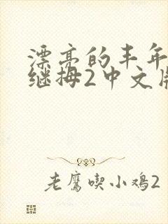 漂亮的丰年经的继拇2中文版