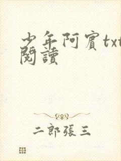 少年阿宾txt阅读