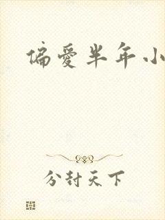 偏爱半年小说
