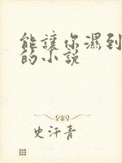 能让你湿到不行的小说