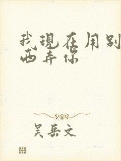 我现在用别的东西弄你