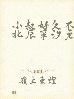 小叔好久不见顾北辰宁汐免费阅读