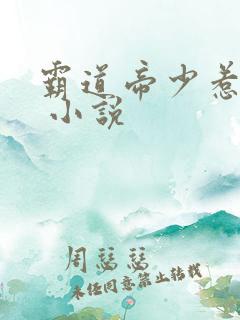 霸道帝少惹不得 小说