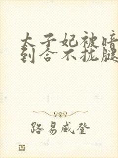 太子妃被暗卫c到合不拢腿