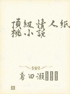 顶级情人纸皮核桃小说