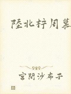 陆北柠周慕深