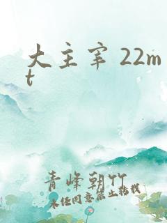 大主宰 22mt