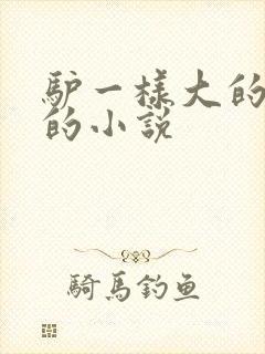 驴一样大的凶器的小说
