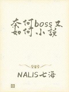 奈何boss又如何小说