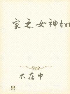 家之女神txt