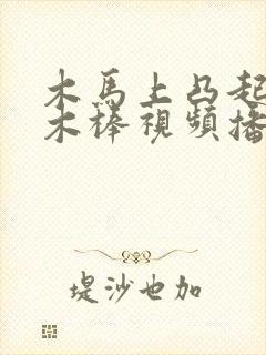 木马上凸起电动木棒视频播放