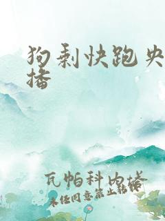 狗剩快跑央八首播