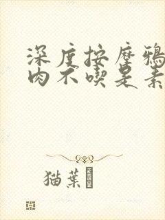 深度按摩鸦鸦吃肉不吃是素笔