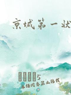 京城第一状师