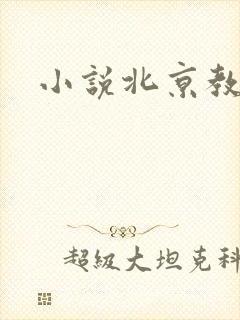 小说北京教父