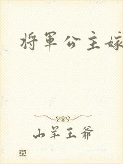 将军公主嫁到