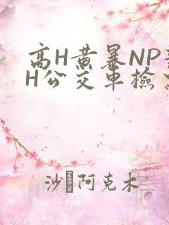 高H黄暴NP辣H公交车检票员