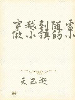 穿越到随处可以做小镇的小说