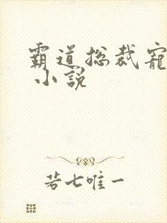 霸道总裁宠上天 小说