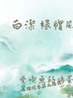 白洁 绿帽风云