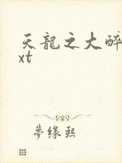 天龙之大醉侠txt