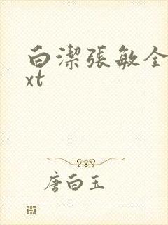 白洁张敏全集txt