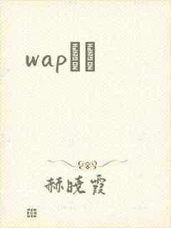 wapС˵