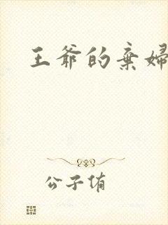 王爷的弃妇
