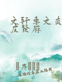 文轩车文爽到头皮发麻