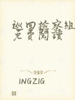 巡回检察组小说免费阅读