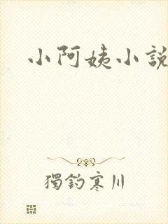 小阿姨小说