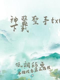 神医圣手txt下载