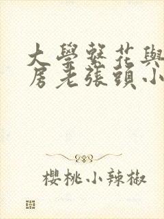 大学系花与锅炉房老张头小说