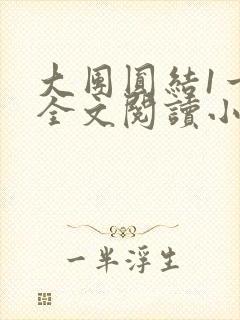 大团圆结1一6全文阅读小说