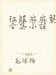 征服麻麻系列大合集小说