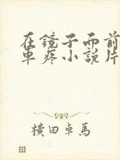 在镜子面前做开车疼小说片段