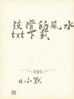 狡猾的风水相师txt下载