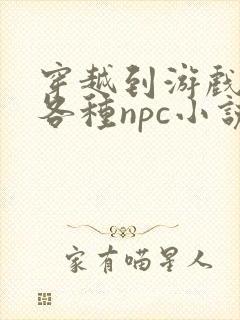 穿越到游戏里和各种npc小说