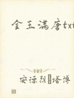 金玉满唐txt