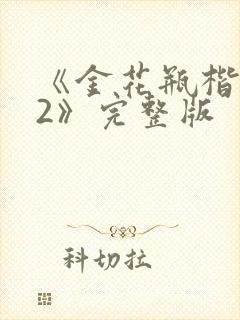 《金花瓶楷梅花2》完整版