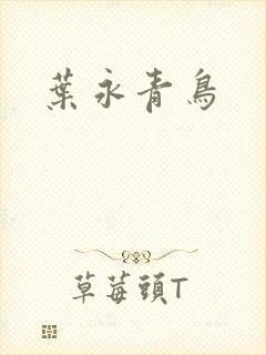 叶永青鸟