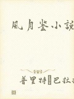 风月鉴小说论坛