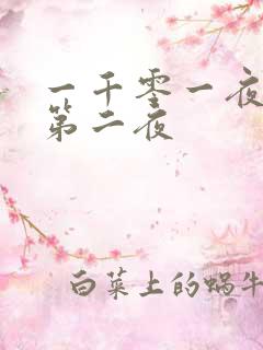 一千零一夜倒数第二夜