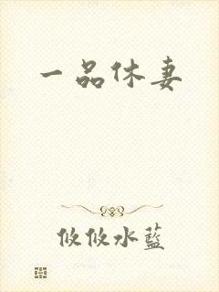 一品休妻