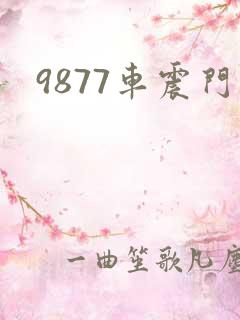 9877车震门