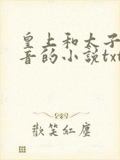 皇上和太子妃沈音的小说txt