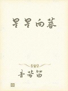 星星向蓉