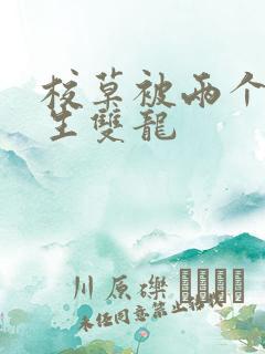 校草被两个体育生双龙